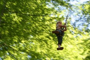 climbing-park-forest-adventure-children-large-12