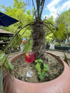 Foto 10.05.24, 15 26 46